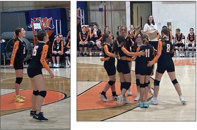 Volleyball game