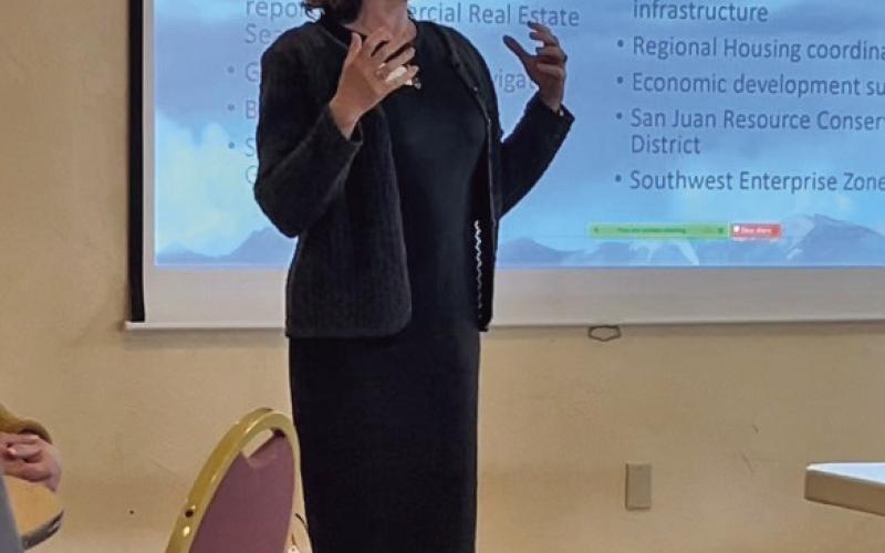 Laura Lewis Director of Region 9 presents to business owners. Photo credit DeAnne Gallegos