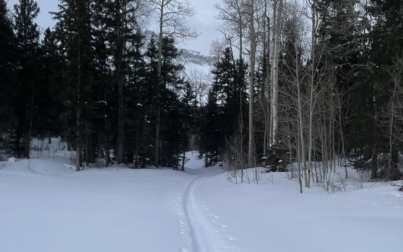 Photo credit Jordan McChesney A path through the snow.