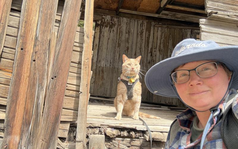 Melanie Bergolc and her tripod cat, Kendall, made it up to the Kendall Mountain boxcar Photo by Melanie Bergolc