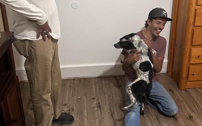 Luna the mini heeler reunites with her family from New Mexico after missing for 14 days