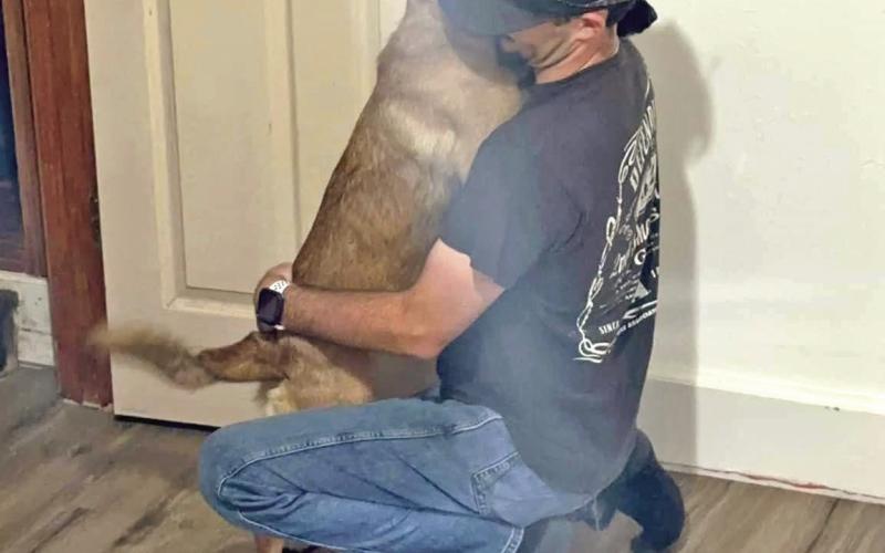 Owner James Lowery reunited with his dog Konni Saturday morning, July 20th, after driving all night from Phoenix, Arizona. Photo credit Jimmy Keene
