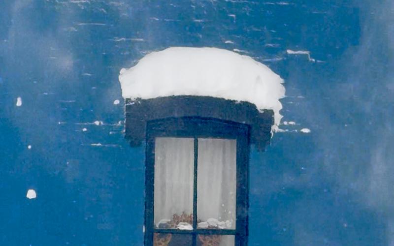 Blue Building on 13th &amp; Greene looked like the center of a snow globe that has been shaken up photo by DeAnne Gallegos