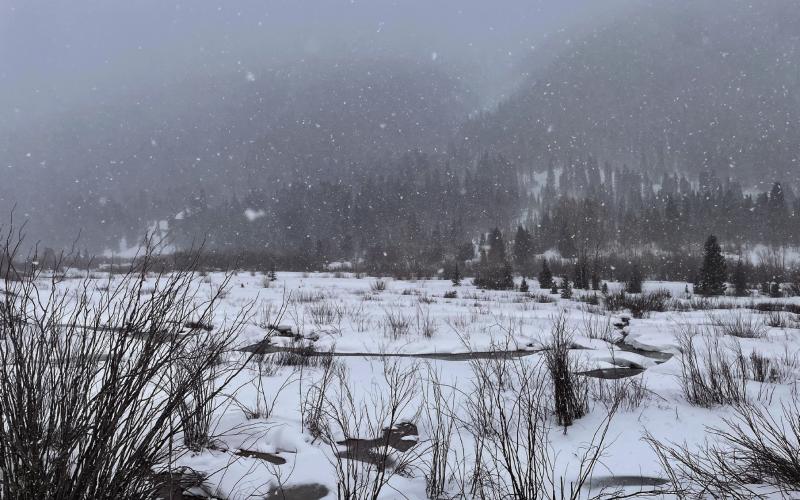 Snowy wetlands surrounding Silverton. Photo credit Janice Sanders