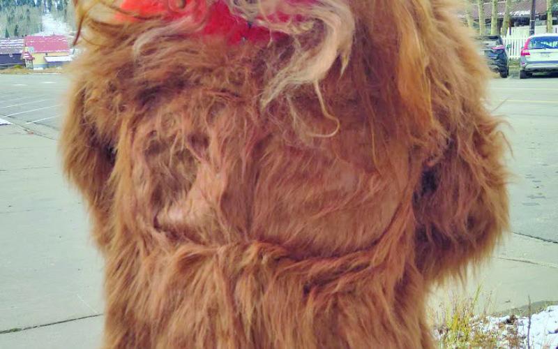 Sasquatch spotted in the parade. Photo credit Dayna Kranker
