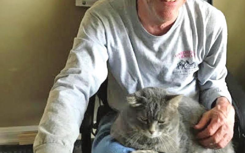Esper adopted a local stray cat and named her Jazzie. Photo Credit Margaret Westerman