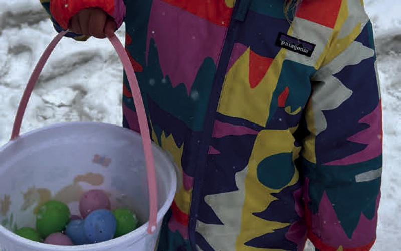 Eggs treasures. Photo credit Sterling Blankenship