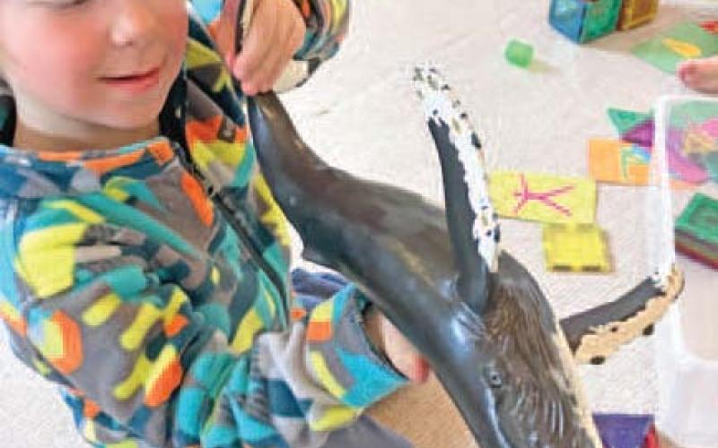 Wilder Birma at SFLC playing with a whale.