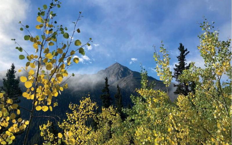 Silverton leaves are beginning to turn Photo credit Cameron Crowell