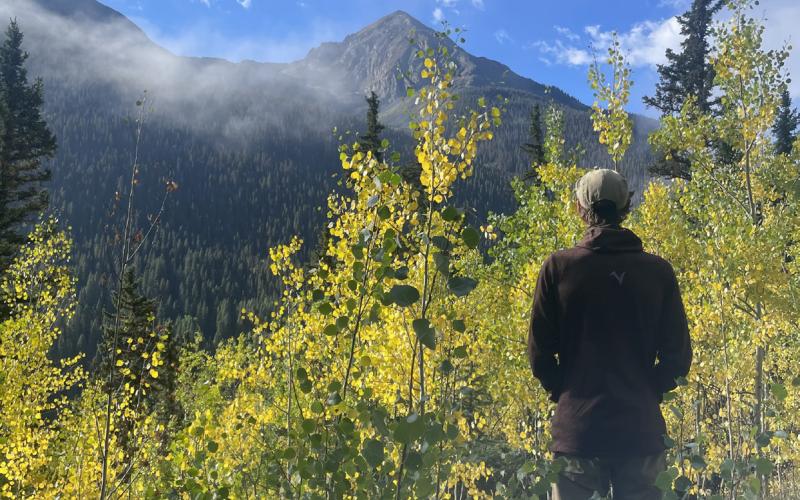 The trees they are a changin’. Photo credit Katey Fetch