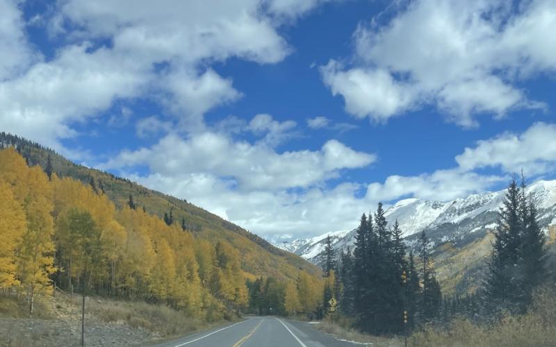 Golden leaves and snow drive. Photo credit Katey Fetch