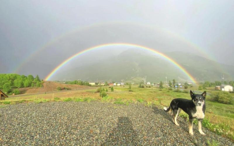 Juno is excited that rainbow season has arrived Photo Credit Hillary Cable
