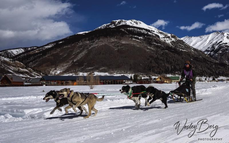 Dogs and mushers having fun at The Flying Dog Sled Races. Photo credit Wesley Berg