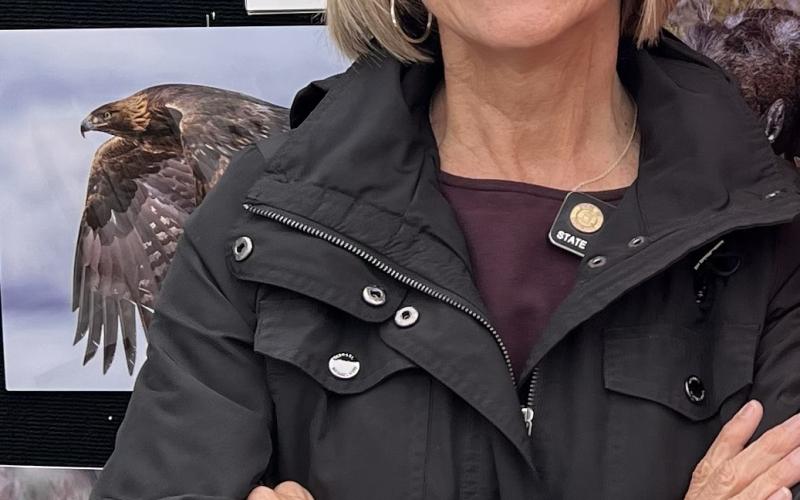 Barbara McLachlan