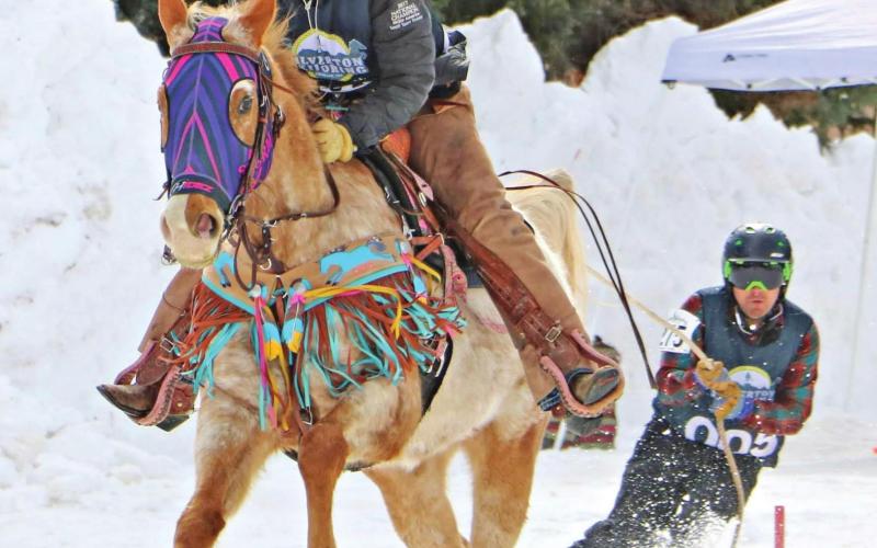 Carissa Dahl and Rage pull skier Rob Conaty through Silverton’s course. Photo Credit Jeff Dahl