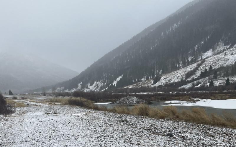 An example of a wetland environment surrounding San Juan County- Photo credit Katey Fetch