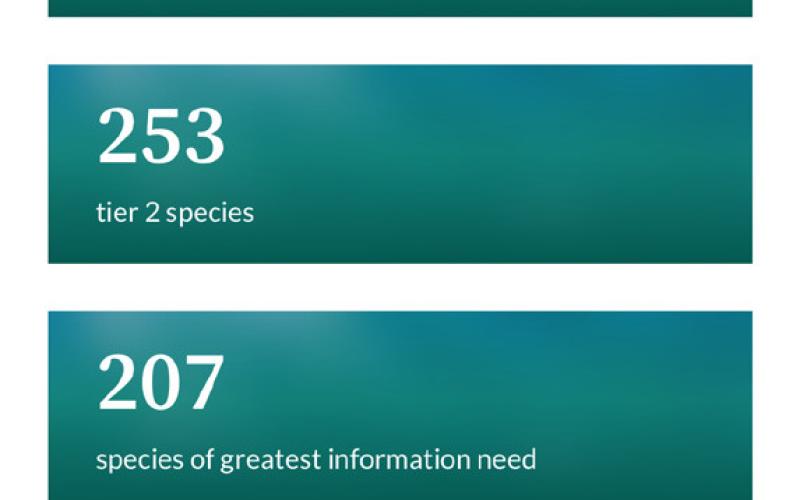 Colorado Parks and Wildlife is working on the State Wildlife Action Plan
