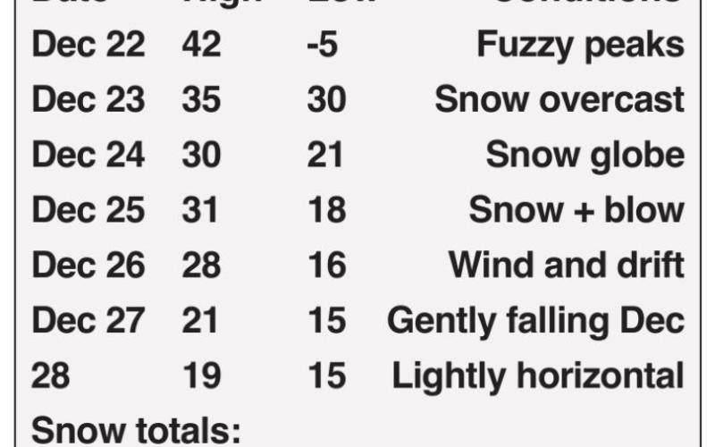 Wild Windy Winter World