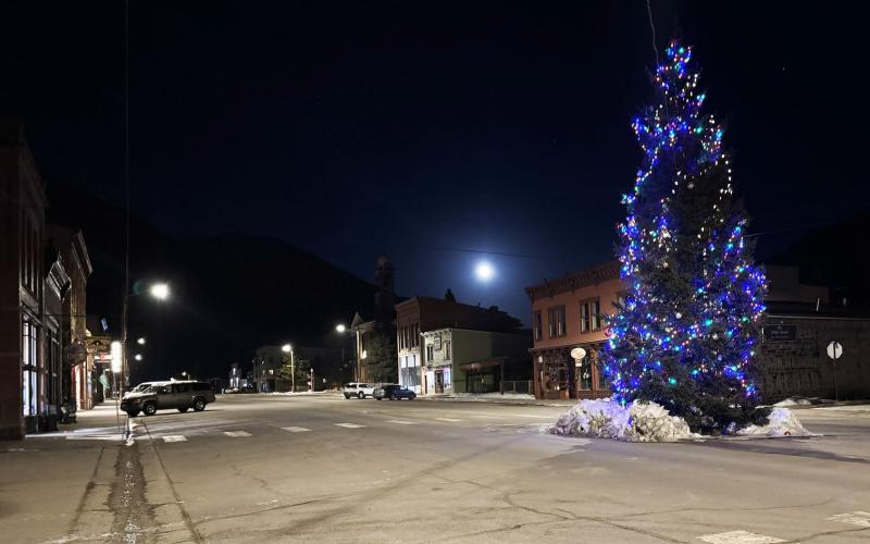 Photo credit Katey Fetch The town Christmas tree under the full moon.
