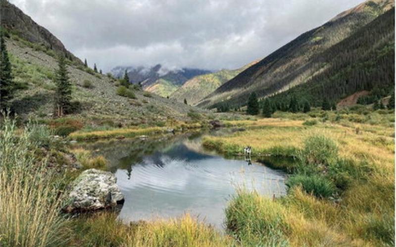 An example of a wetland environment (photo not within the town of Silverton) Photo credit Cameron Crowell