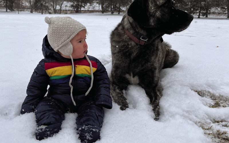 Photo Credit Hannah Kurzweil Luna and Wilde Kurzweil enjoying the New Year in snow.