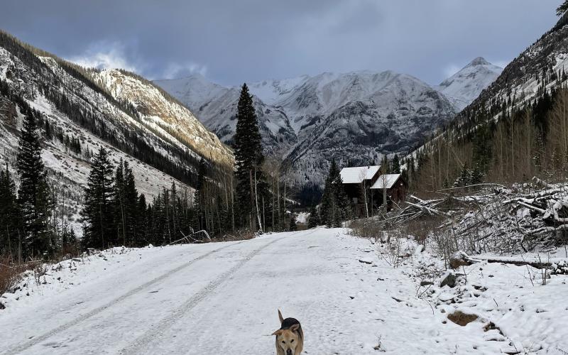 Photo credit Janice Sanders Snow dusting the county roads and dog walks.