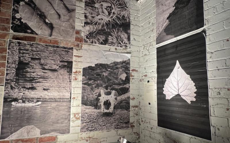 A sample of the art at the Powerhouse Photo by DeAnne Gallegos
