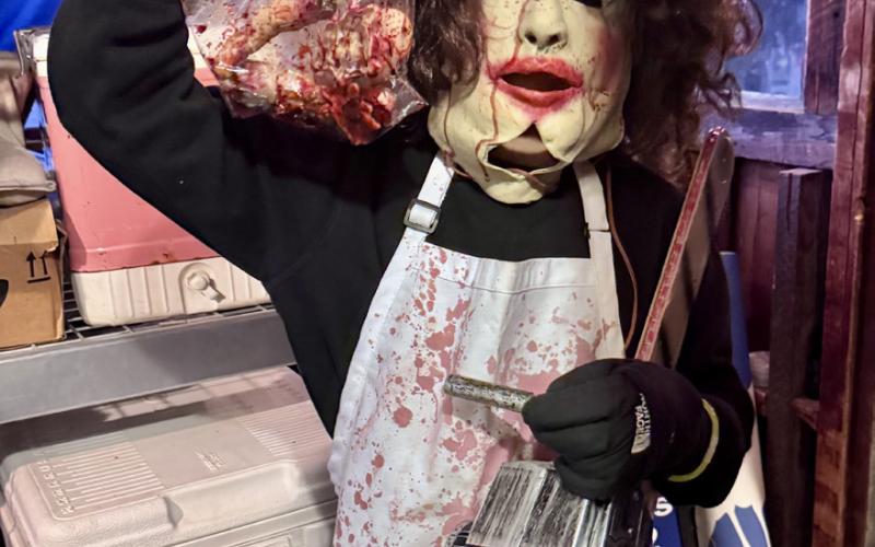 Local Kid takes their costume to the next level… Photo by Melissa Childs