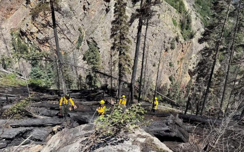 Snow Shed Fore burned out area above Highway 550 between mile marker 87-88. Photo credit Ridgeway Fire Department