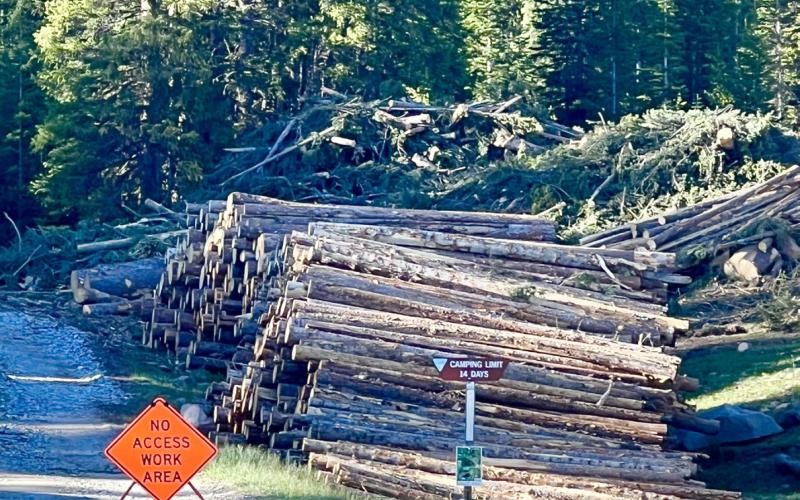 Logs from the US Forest Service land within the vegetation gap being created around the Tri-State transmission lines are being stacked along Highway 550 by helicopter and then will be loaded onto logging trucks for removal. Photo credit DeAnne Gallegos