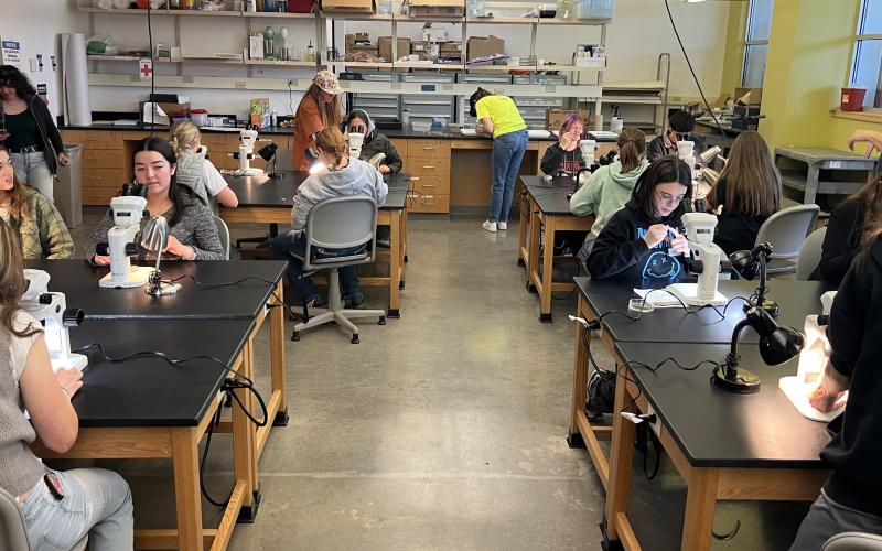 Students attend a FLC Biology Department tour where students were able to look at plants and bugs under the microscopes in one of the biology labs