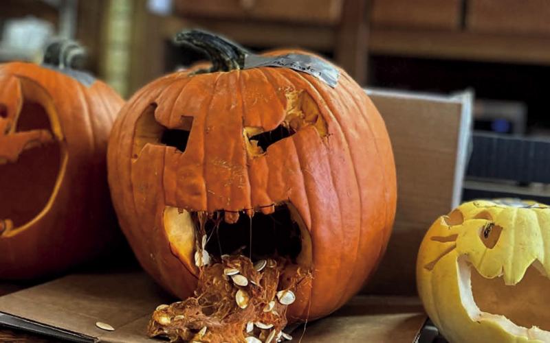 Getting creative while carving pumpkins. Photo courtesy of Silverton Area Chamber of Commerce