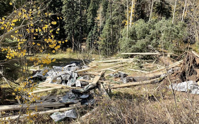Another view of the aftermath of semi rollover at mile marker 53. Photo credit Danny Castle