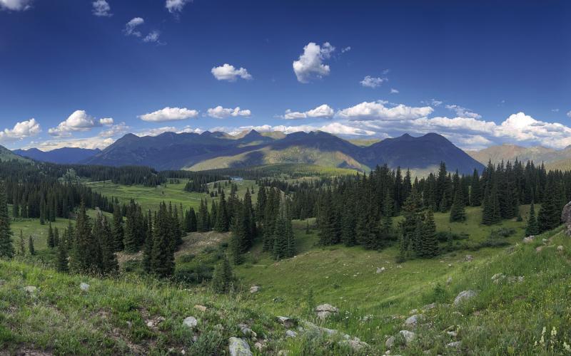It’s still summer in and around Silverton. Photo credit Scott Fetchenhier
