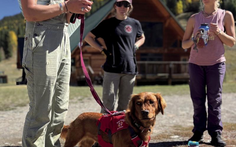 4SAW Avalanche Dog Camp- Hailey and Ripley from Sun Valley Ski Patrol train at CRAD camp. Photo credit SAS