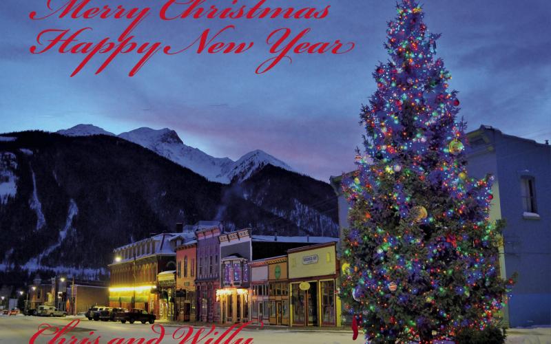 Town Tree. Photo by Chris and Willy Tookey