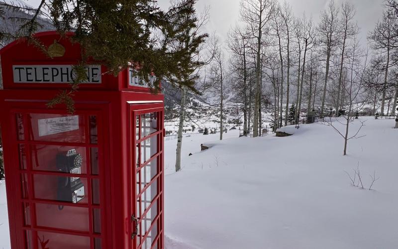 Feb 10, the back of the phone booth (no dog tracks). Photo credit Rick Noble