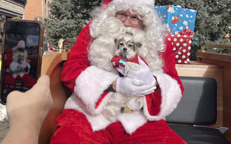 Silverton Dog selfies with Santa on Christmas Eve photo by Janice Sanders