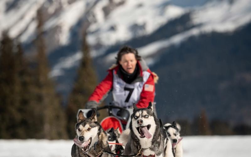 Dog Sled Races were moved up to Molas Lake due to the lack of snow on the valley floor in Silverton photo by Howie Stern