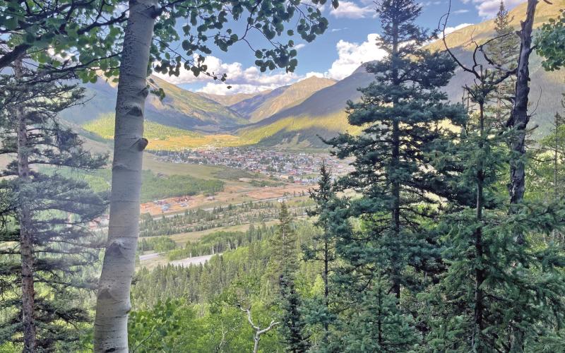A view through the trees, Anvil Subdivision can be seen next to Highway 550. Photo credit Katey Fetch