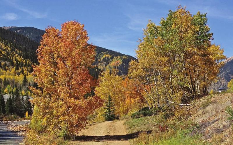 Jerry Lyle/Silverton Standard