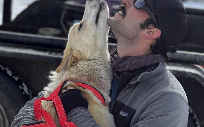 The Silverton flying Dog Sled Races &amp; Skijor was a huge success. We received ample snow for this event, and all the dogs &amp; humans were smiling ear to ear. Photo provided by DeAnne Gallegos