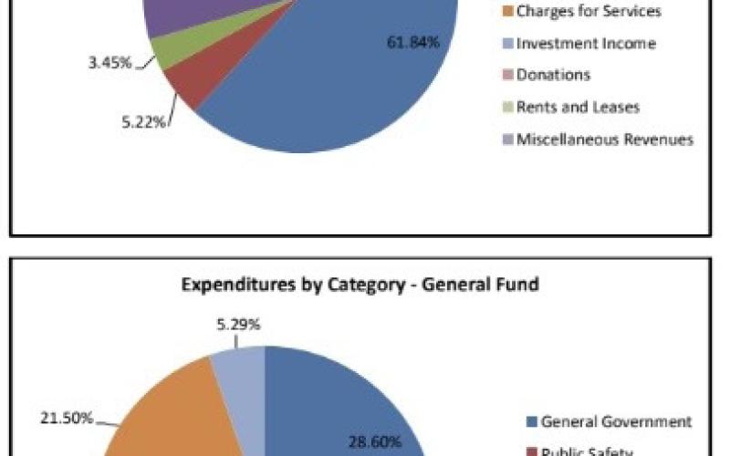 Pie chart from TOS financial Audit done by Hinkle &amp; Company PC.