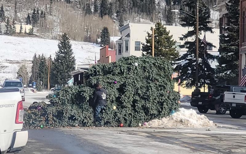 The town Christmas tree toppled over! Hopefully, more snow is on the way to make a bigger pile to keep it upright photo by Scott Fetchenhier