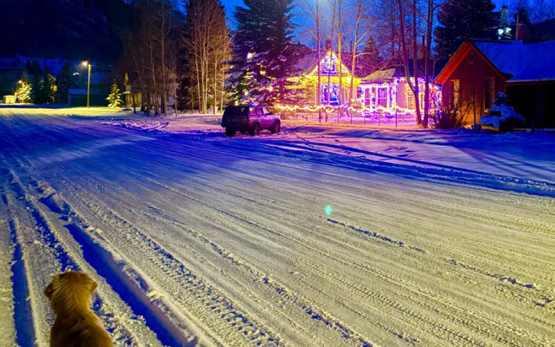 On a snowy full moon walk, Silverton dog Toots enjoys the holiday lights photo by Anne Izard