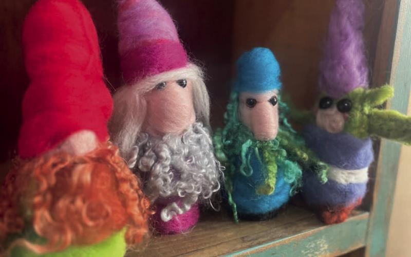 Photo by 9318 Collective Gnomies created by locals