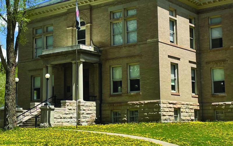 It’s spring in Silverton (finally) the courthouse lawn is yellow with dandelions Photo by Janice Sanders