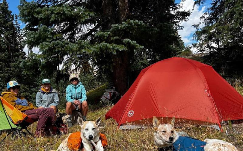 Photo by Critt Kuenning Elise, Jules and Krista camp out with their dogs on their wanderlust backyard backpacking