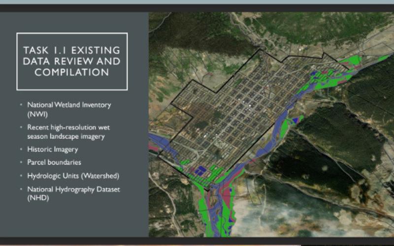 Wetland Delineation
