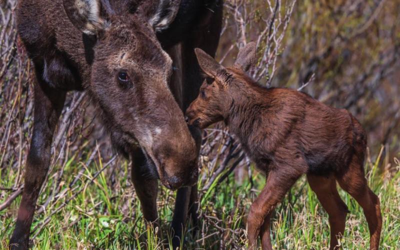 Dora and her mother Photo Credit - Wesley Berg